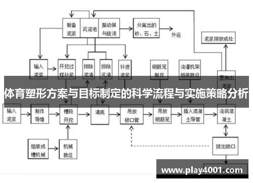 体育塑形方案与目标制定的科学流程与实施策略分析